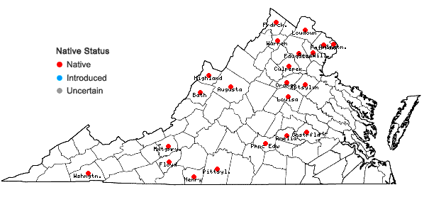 Locations ofCarex bushii Mackenzie in Virginia
