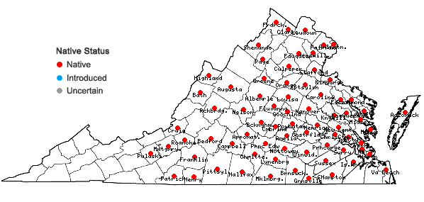 Locations ofCarex caroliniana Schweinitz in Virginia