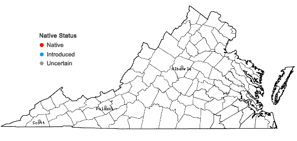 Locations ofCarex cherokeensis Schweinitz in Virginia