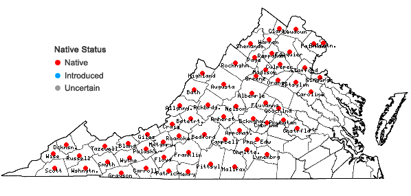 Locations ofCarex communis Bailey in Virginia