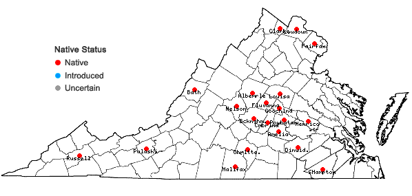 Locations ofCarex conjuncta Boott in Virginia