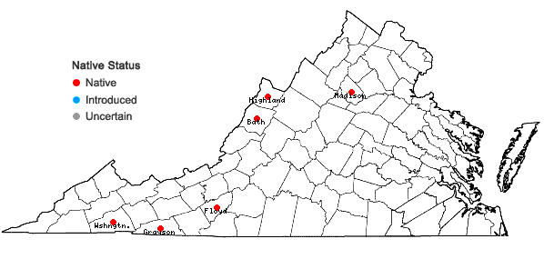 Locations ofCarex conoidea Willd. in Virginia