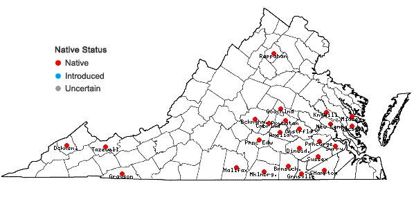 Locations ofCarex corrugata Fernald in Virginia