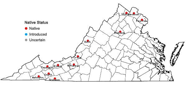 Locations ofCarex cristatella Britton in Virginia