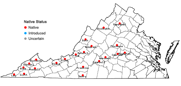 Locations ofCarex cumberlandensis Naczi, Kral, & Bryson in Virginia