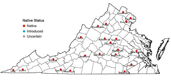 Locations ofCarex debilis Michx. var. pubera A. Gray in Virginia
