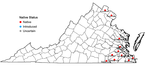 Locations ofCarex decomposita Muhl. in Virginia