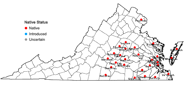 Locations ofCarex digitalis Willd. var. macropoda Fernald in Virginia
