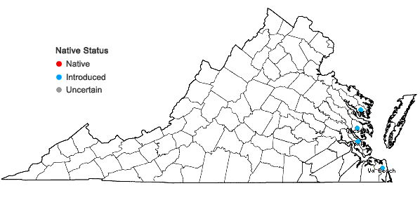 Locations ofCarex divisa Hudson in Virginia
