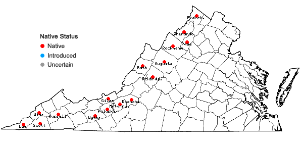 Locations ofCarex eburnea Boott in Virginia
