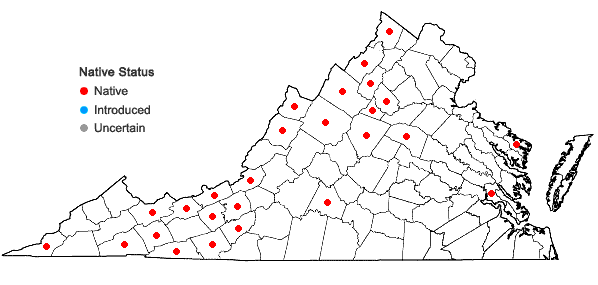 Locations ofCarex echinata Murray ssp. echinata in Virginia