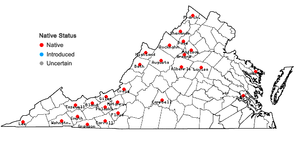Locations ofCarex echinata Murray ssp. echinata in Virginia