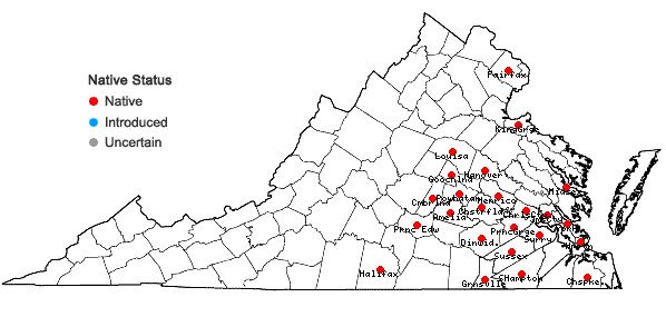 Locations ofCarex flaccosperma Dewey in Virginia