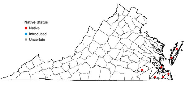 Locations ofCarex floridana Schw. in Virginia