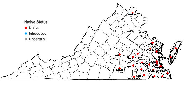 Locations ofCarex gigantea Rudge in Virginia