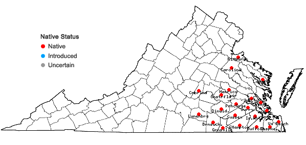 Locations ofCarex glaucescens Elliott in Virginia