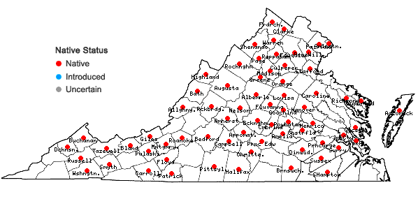 Locations ofCarex gracilescens Steudel in Virginia