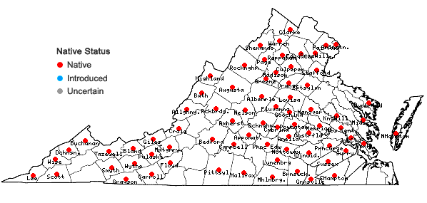 Locations ofCarex gracillima Schw. in Virginia