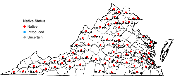 Locations ofCarex granularis Muhl. ex Willd. in Virginia