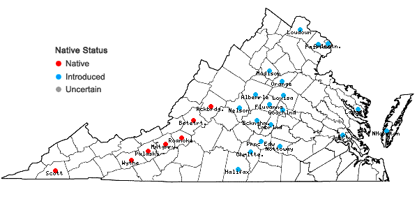Locations ofCarex gravida L.H. Bailey in Virginia