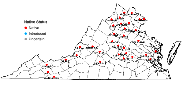 Locations ofCarex grisea Wahlenb. in Virginia