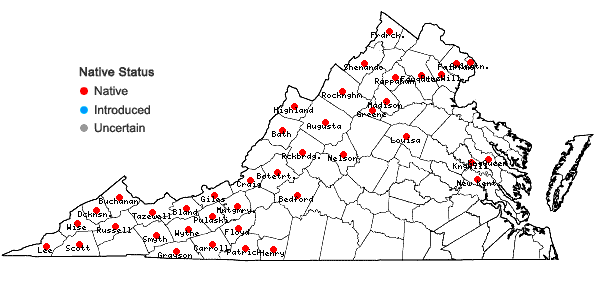 Locations ofCarex gynandra Schweinitz in Virginia