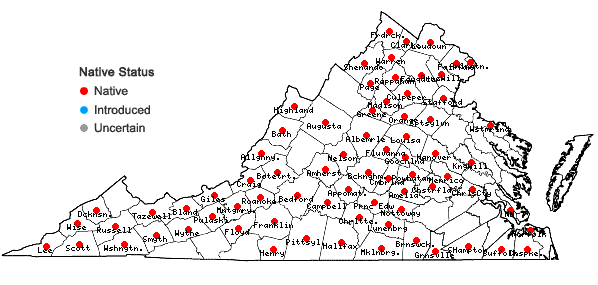 Locations ofCarex hirsutella Mackenzie in Virginia