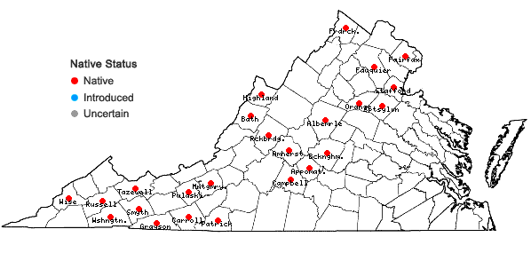 Locations ofCarex hirtifolia Mackenzie in Virginia