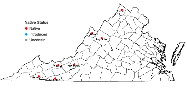 Locations ofCarex interior Bailey in Virginia