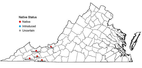Locations ofCarex intumescens Rudge var. fernaldii Bailey in Virginia