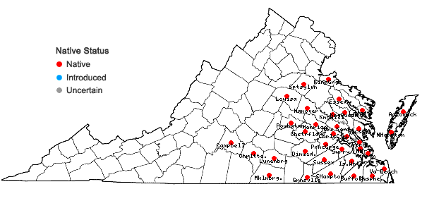 Locations ofCarex joorii Bailey in Virginia