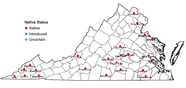 Locations ofCarex kraliana Naczi & Bryson in Virginia