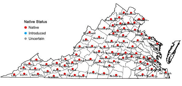 Locations ofCarex laxiflora Lam. in Virginia