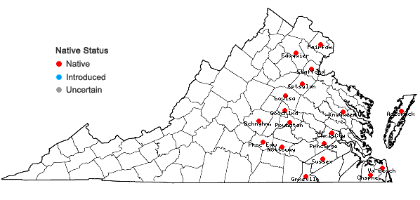 Locations ofCarex leptalea Wahlenberg var. harperi (Fernald) Weatherby & Griscom in Virginia