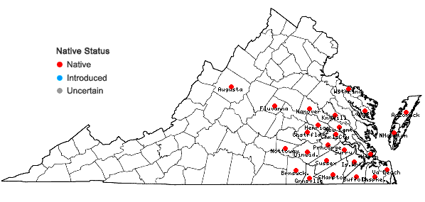 Locations ofCarex lonchocarpa Willd. ex Sprengel in Virginia