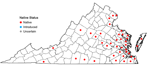 Locations ofCarex longii Mackenzie in Virginia