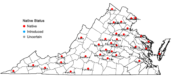 Locations ofCarex mesochorea Mackenzie in Virginia