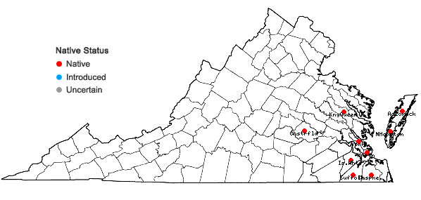 Locations ofCarex mitchelliana M.A. Curtis in Virginia