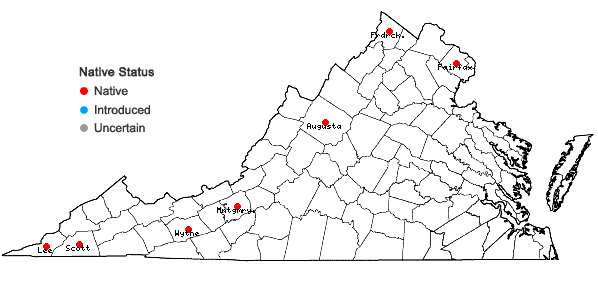 Locations ofCarex molesta Mackenzie ex Bright in Virginia