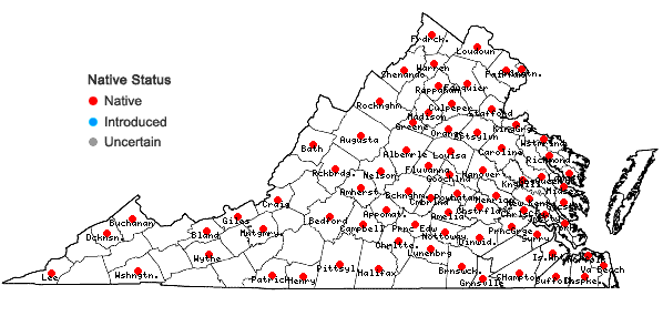 Locations ofCarex nigromarginata Schweinitz in Virginia