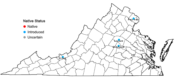 Locations ofCarex oklahomensis Mackenzie in Virginia