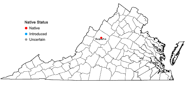 Locations ofCarex ormostachya Wiegand in Virginia