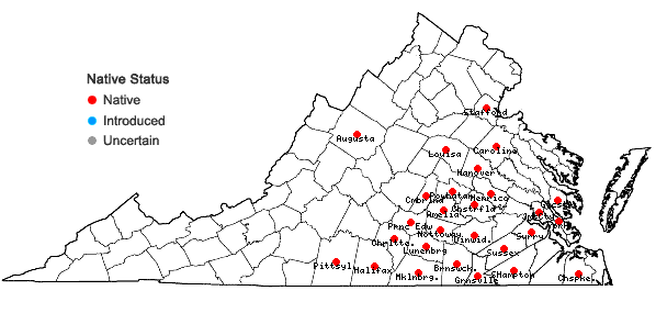 Locations ofCarex oxylepis Torrey & Hooker in Virginia