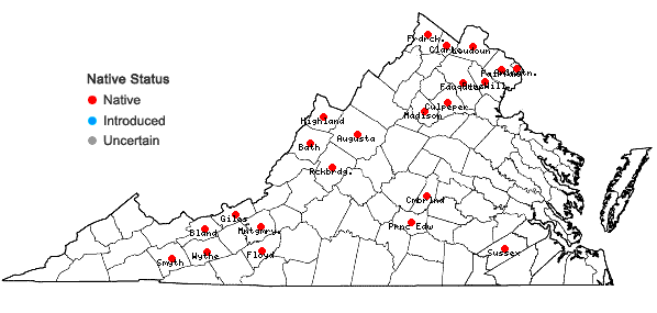 Locations ofCarex pellita Willd. in Virginia