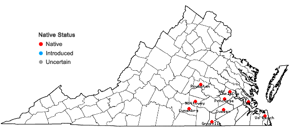 Locations ofCarex pigra Naczi in Virginia