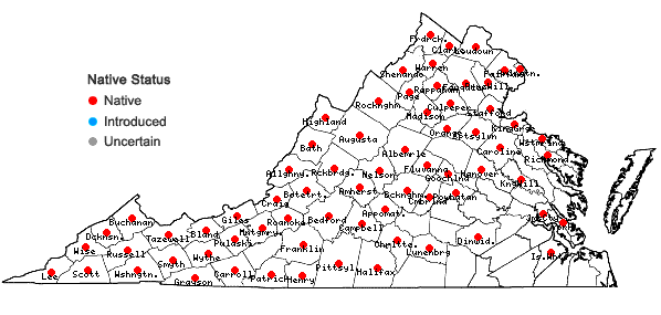 Locations ofCarex platyphylla Carey in Virginia