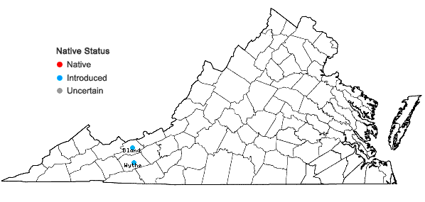 Locations ofCarex praegracilis Boott in Virginia