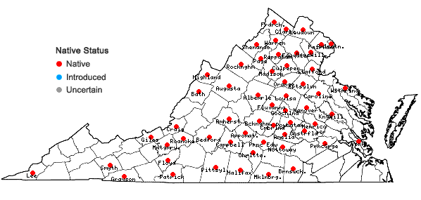 Locations ofCarex radiata (Wahlenb.) Small in Virginia