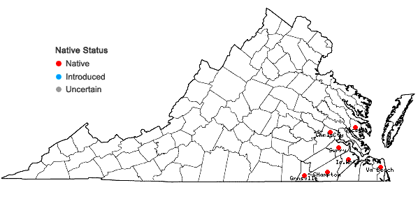 Locations ofCarex reniformis (Bailey) Small in Virginia