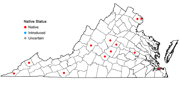 Locations ofCarex retroflexa Muhl. ex Willd. var. texensis (Torr.) Fern. in Virginia
